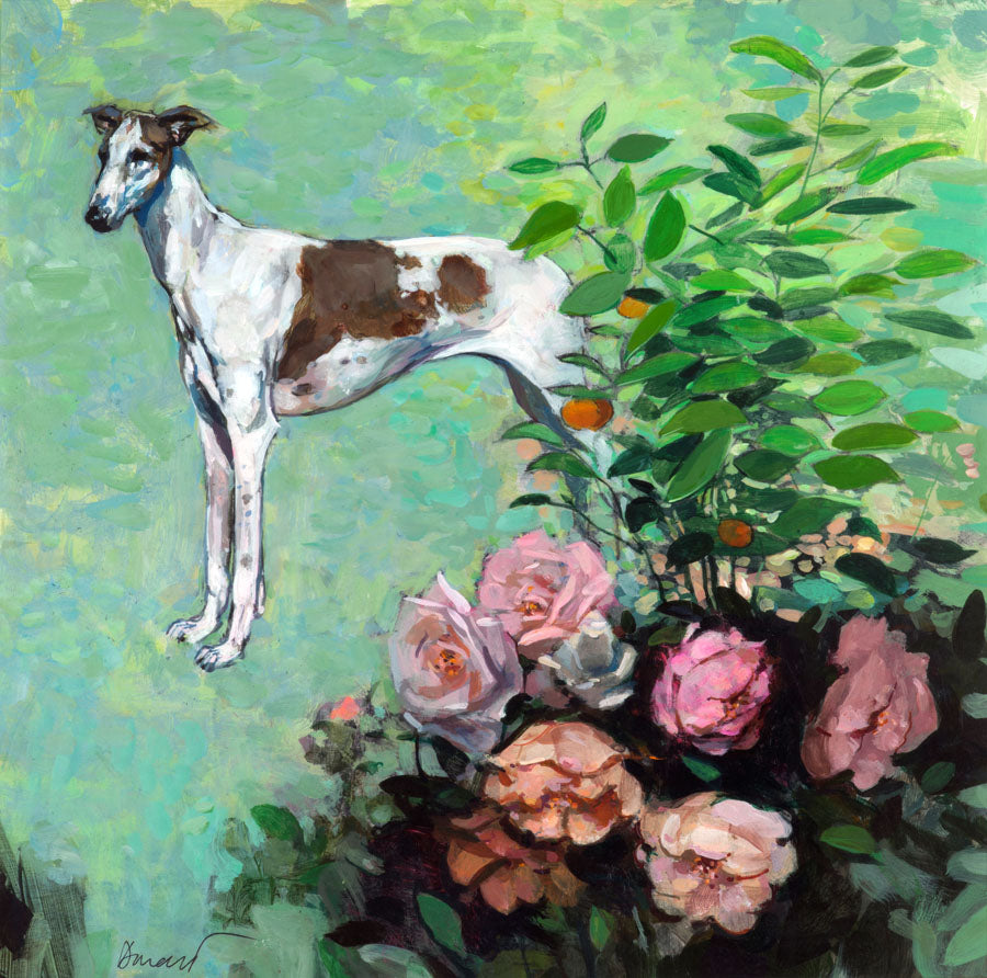 Dog, Rose | George Donald