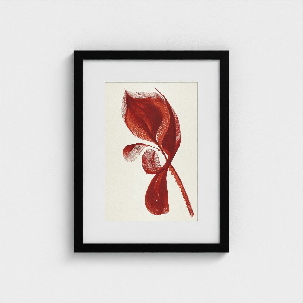 Original artwork | Flamingo Flower | The FRYM