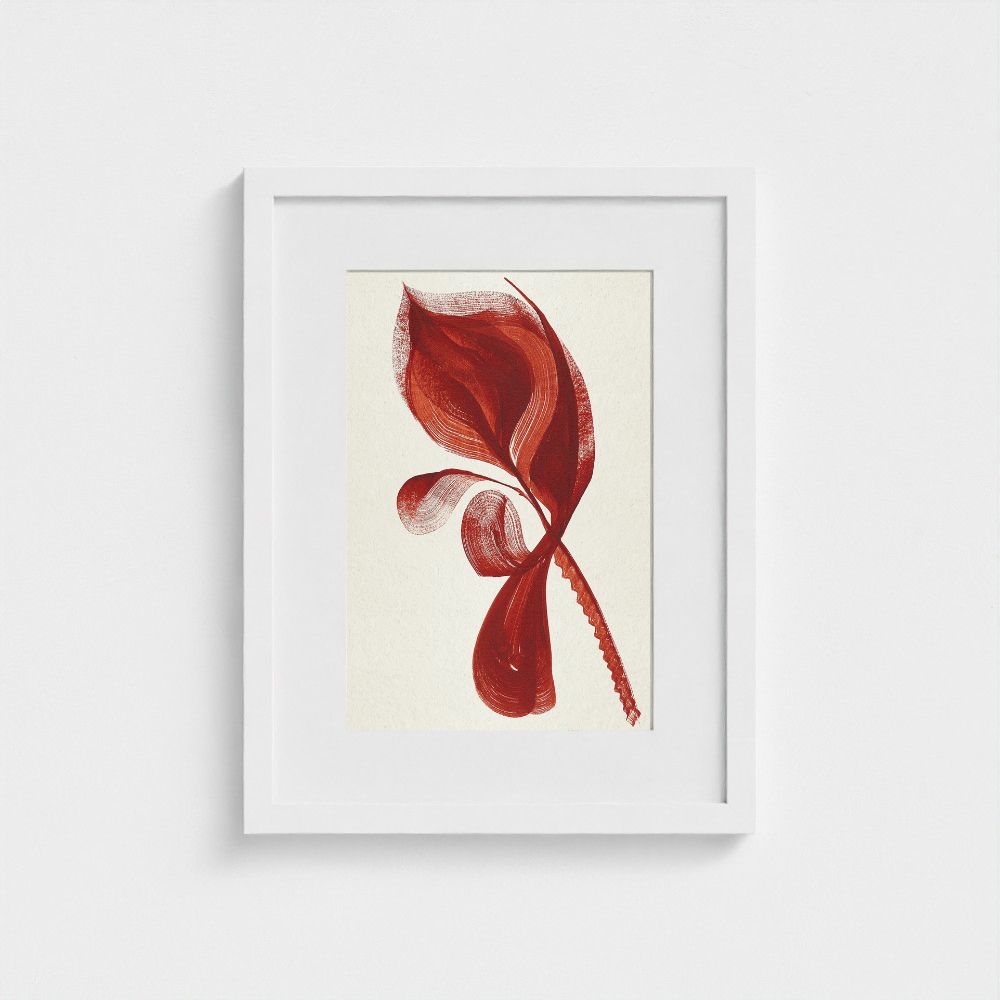 Original artwork | Flamingo Flower | The FRYM