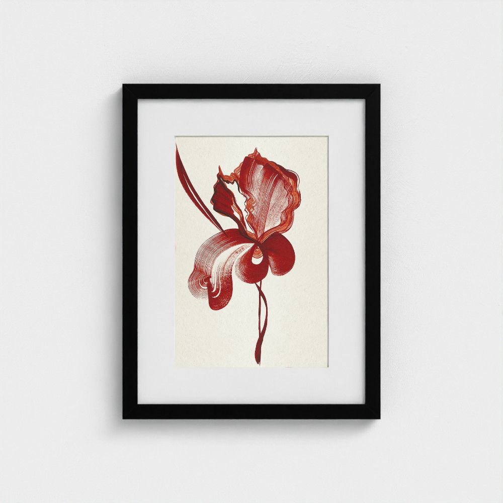 Original artwork | Iris 2 | The FRYM