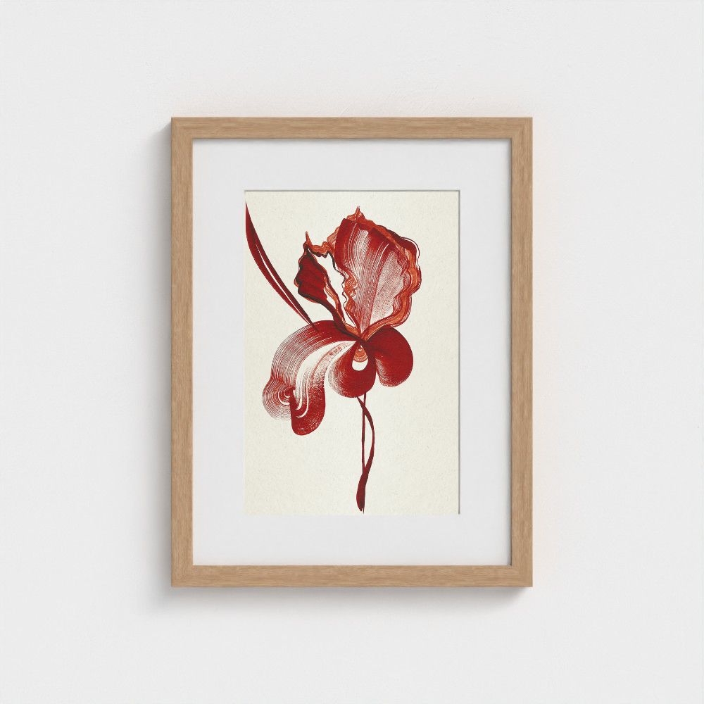 Original artwork | Iris 2 | The FRYM