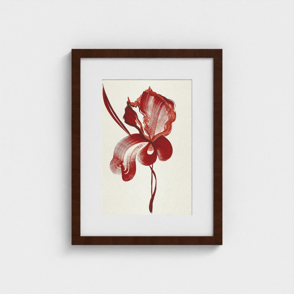 Original artwork | Iris 2 | The FRYM