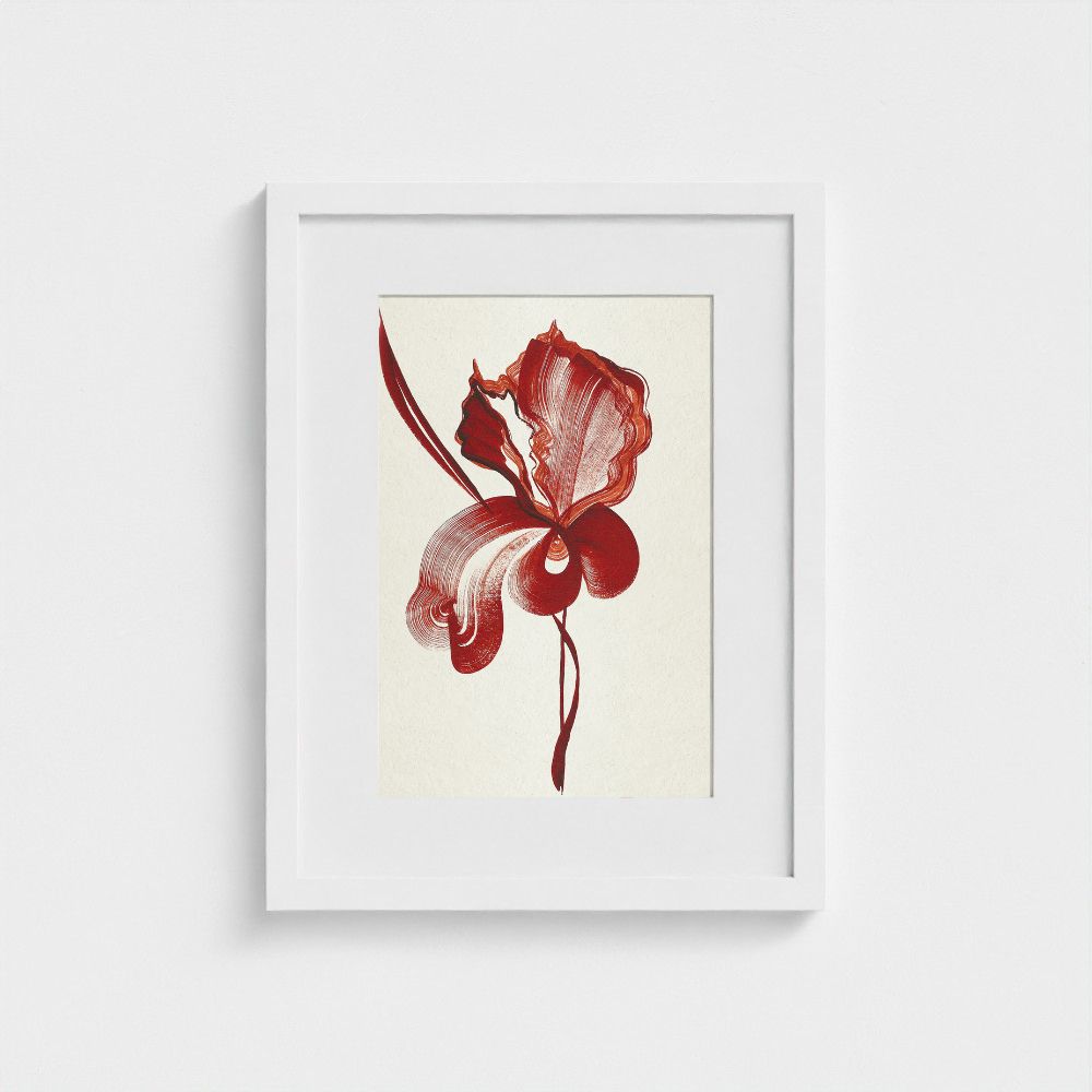 Original artwork | Iris 2 | The FRYM
