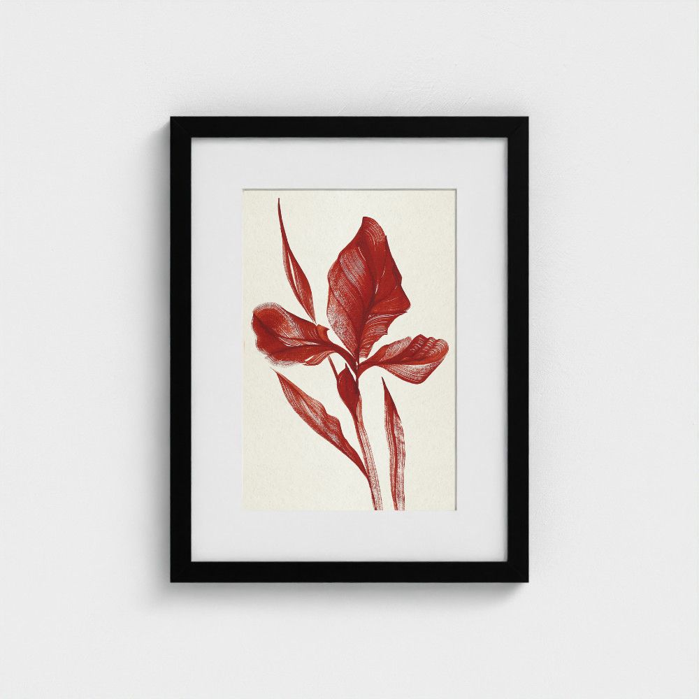 Original artwork | Iris | The FRYM
