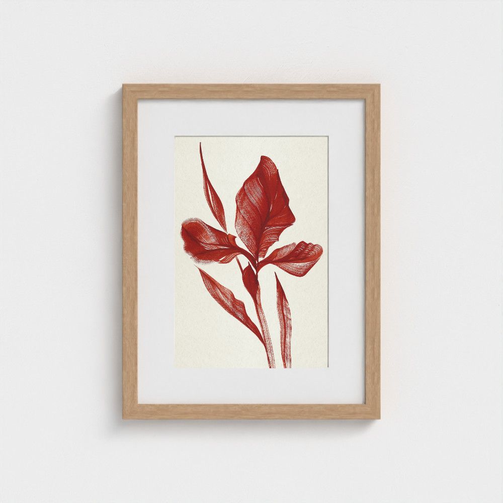 Original artwork | Iris | The FRYM