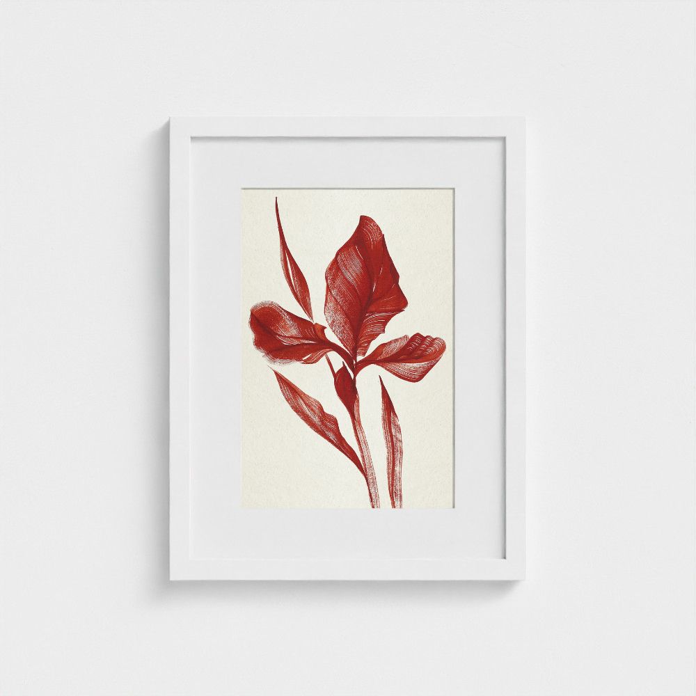 Original artwork | Iris | The FRYM
