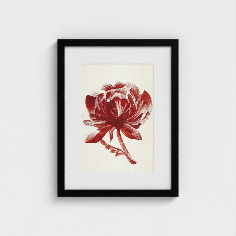 Original artwork | Peony | The FRYM