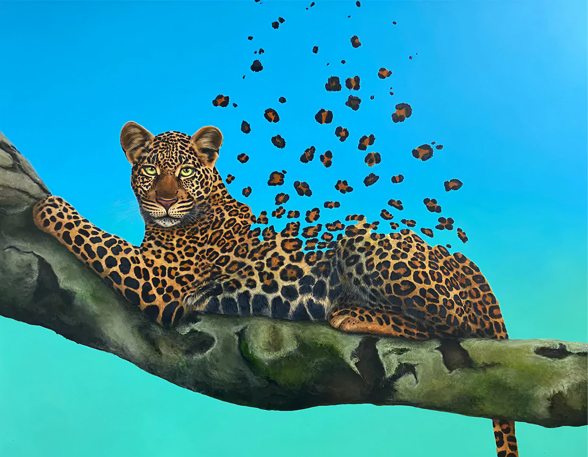 Pieces of Heaven | Louise McNaught