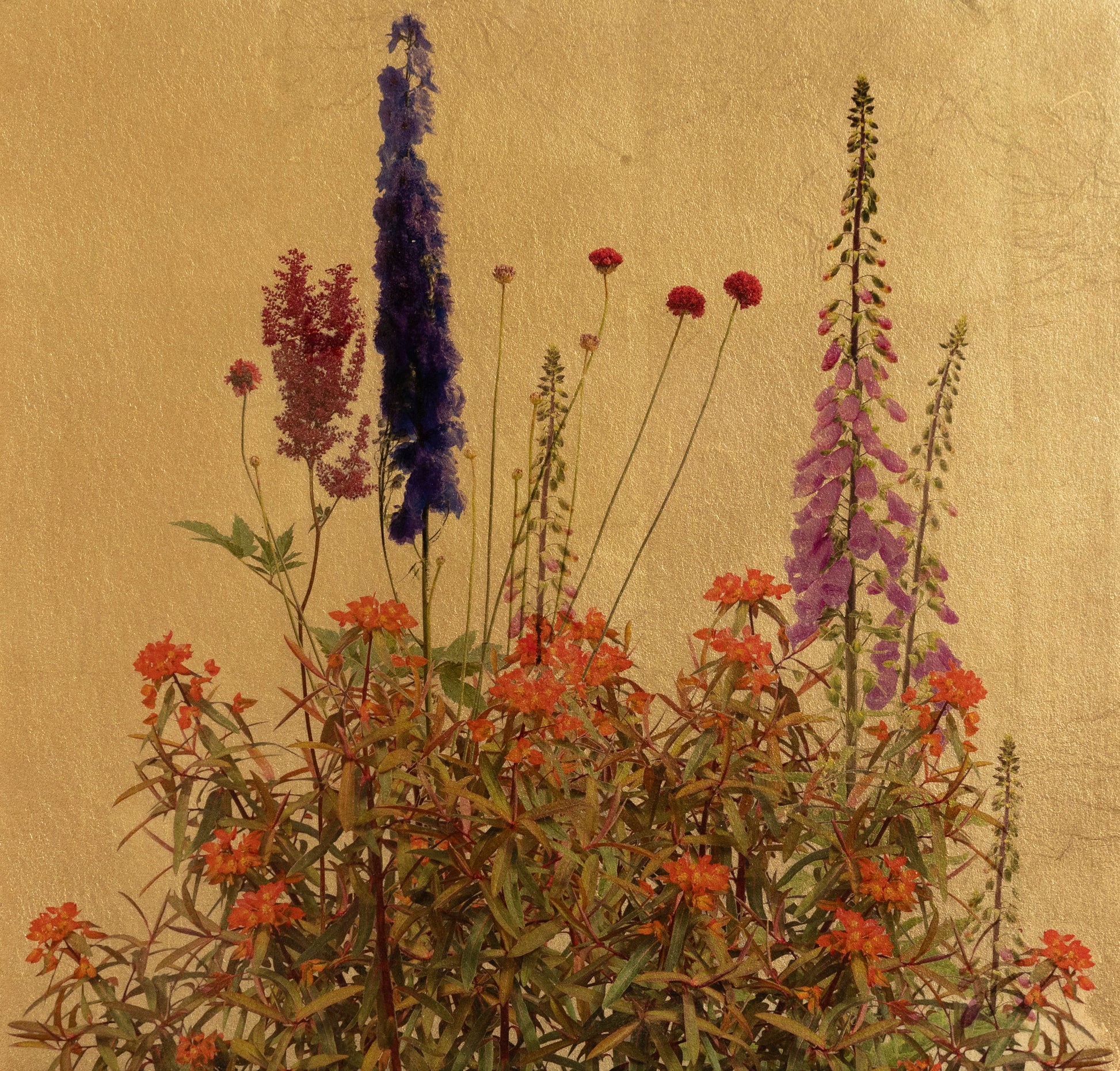 Original artwork | Fera Flores | Robert Pereira Hind