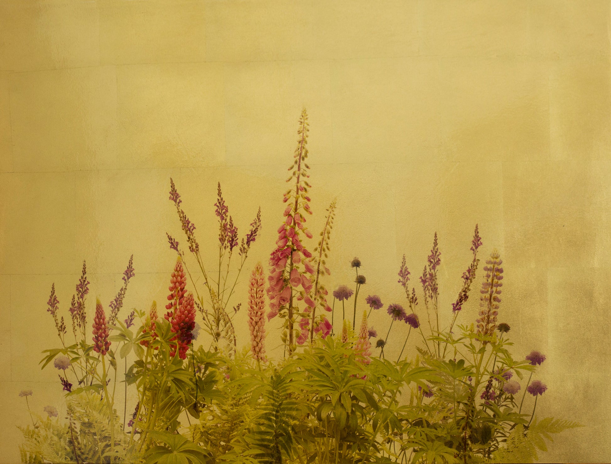 Original artwork | Fera Lupinis II  | Robert Pereira Hind
