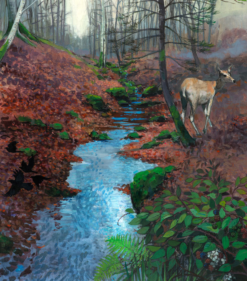 Young Deer, Blawearie Wood | George Donald