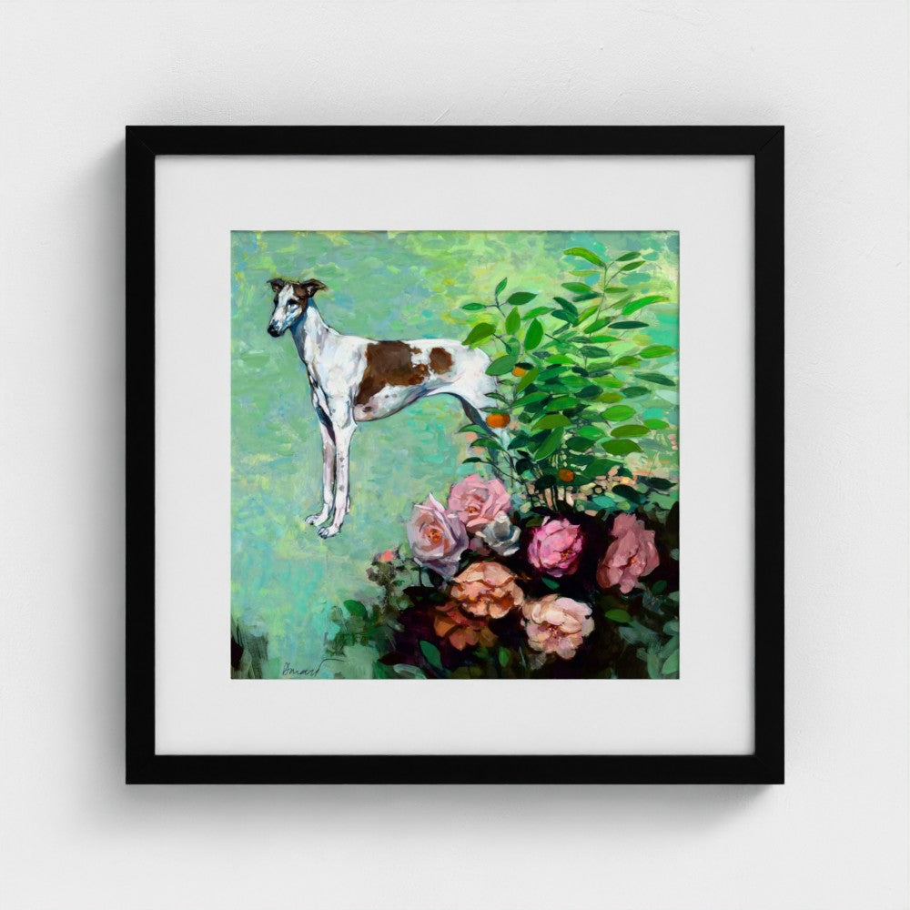 Dog, Rose | George Donald