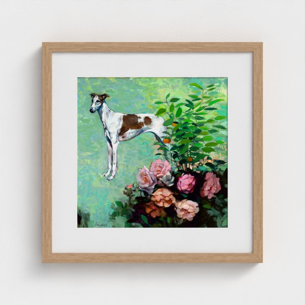 Dog, Rose | George Donald