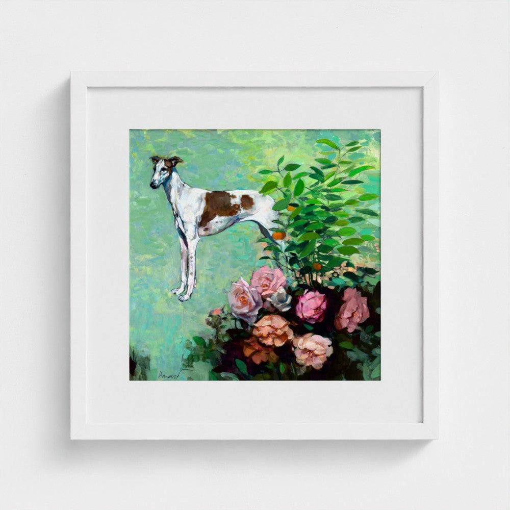Dog, Rose | George Donald