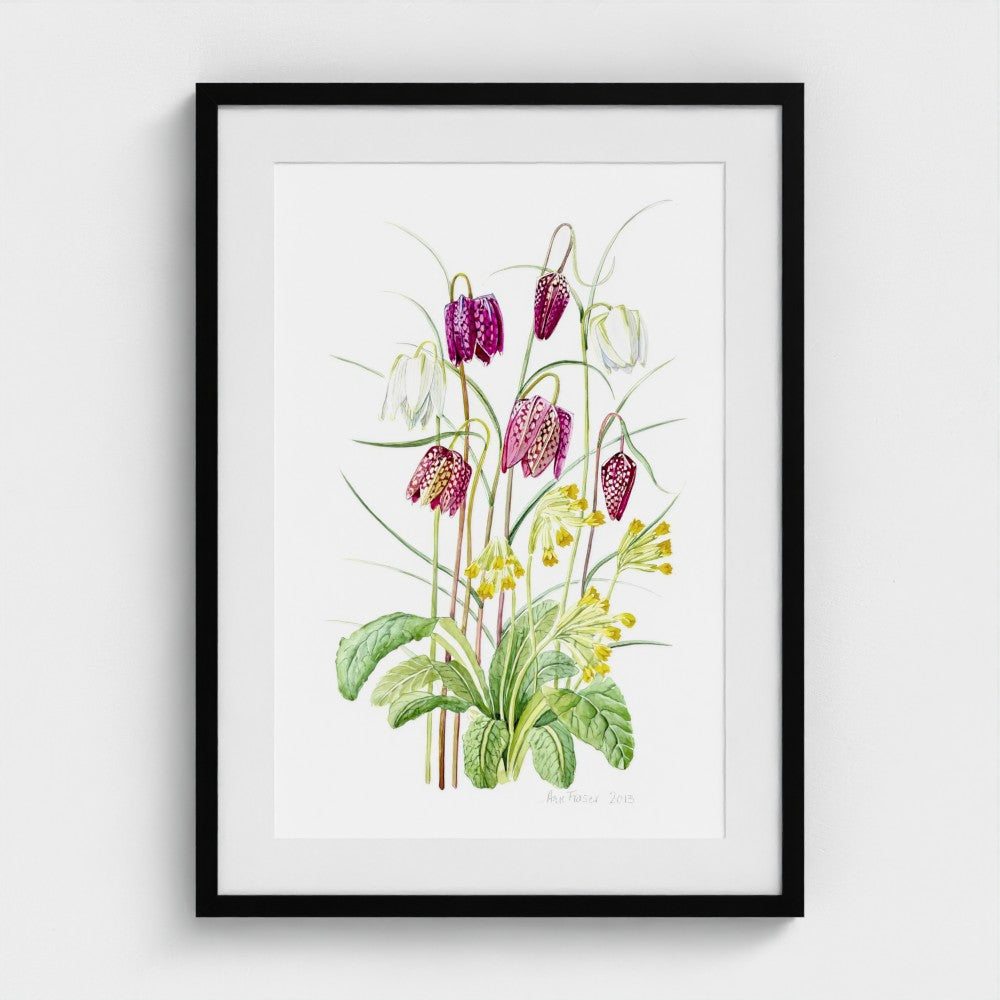 Fritillary Meleagris & Cowslip | Ann Fraser
