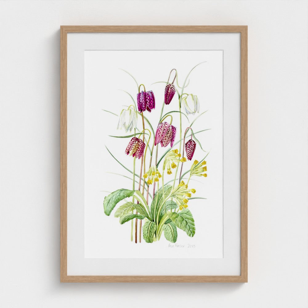 Fritillary Meleagris & Cowslip | Ann Fraser