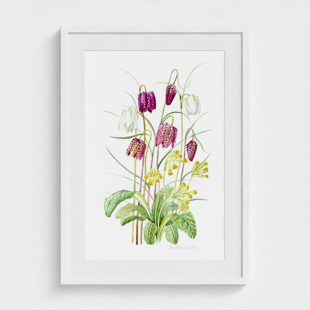 Fritillary Meleagris & Cowslip | Ann Fraser